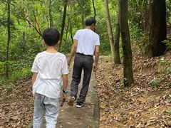 -火炉山森林公园