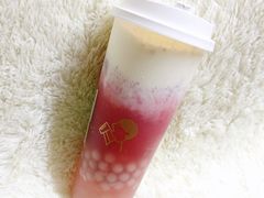 多肉莓莓-喜茶(深圳海岸城店)