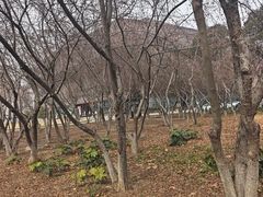 -临沂市博物馆