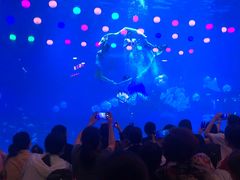 -烟台海昌鲸鲨海洋公园