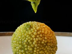 -广州富力君悦大酒店空中花园