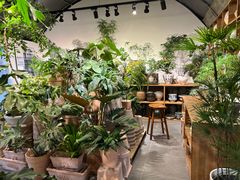 -自由生长植物工作室(深港花卉中心店)