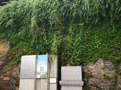 -上海佘山国家森林公园西佘山园