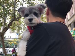 -PETKIT小佩宠物(昭化店)