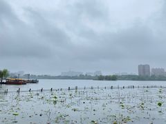 -济南大明湖景区