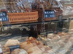 -面包日报