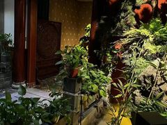 -金指缘足浴(望园路旗舰店)
