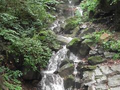 -天女山森林公园