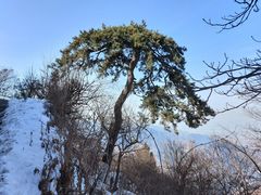 -终南山南五台景区