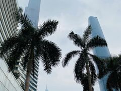 -星巴克臻选(广州高德置地秋广场店)
