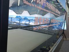 -Hopo Snow 城市滑雪空间(滨江宝龙城店)