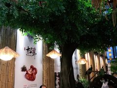 -大理董·董家小厨野生菌火锅(古城旗舰店)