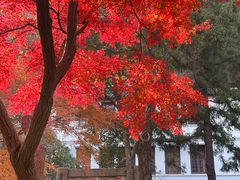 -狼山风景名胜区