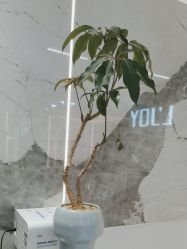 -LJOY丽锦造型·烫发染发