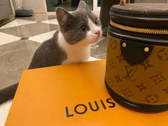 -LV路易威登(杭州万象城店)