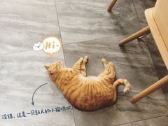 -ADO KAFE(大学城店)