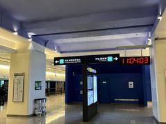 -望京西(地铁站)