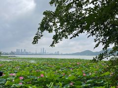-云龙湖旅游景区