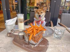 -Shanghai Brew House上海啤酒工坊(老外街店)