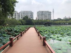 -南通濠河风景名胜区