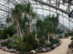 -南山植物园