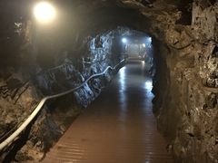 -大明山自然探索公园