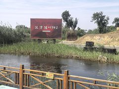 -泗洪洪泽湖湿地景区