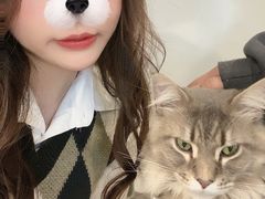 -楼上猫咖(罗湖店)