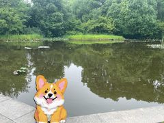 -白马涧龙池景区