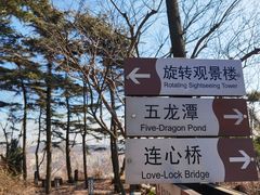 -信号山公园