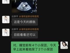-谐和益家动物医院·免疫绝育·血液透析·宠保定点医院(高新伊藤分院)