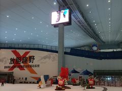 -哈尔滨热雪奇迹