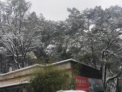 -天怡·鱼工厂(梅溪湖店)