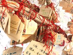 -厦门失恋博物馆(中华城店)
