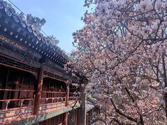 -潭柘寺景区