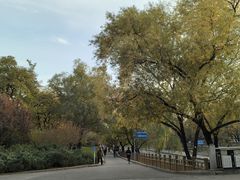 -元大都城垣遗址公园