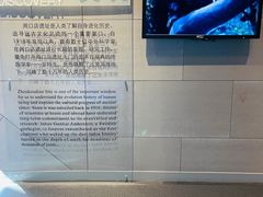 -北京周口店北京人遗址博物馆