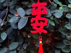 -无锡梅园公园