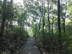 -新江湾城公园
