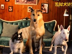 -汇金缪斯影城(八佰伴店)