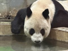 -柳州市动物园