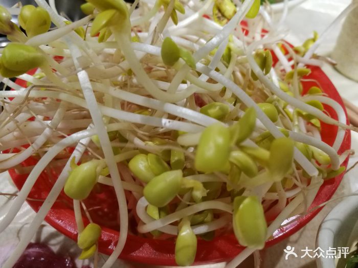 渔城网事三和鱼(直港大道店)-豆芽图片-重庆美食-大众点评网