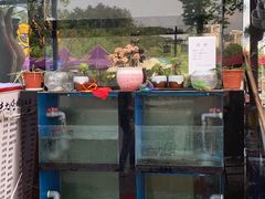 -万景饭店·鱼街农家菜