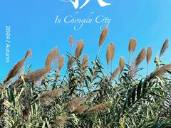 -白鹭湾湿地公园