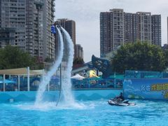 -海合安成都极地海洋公园