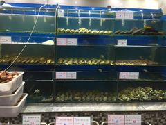 水产区-海岛渔村大酒店(云霄路店)