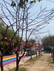 -上美四季动物农场