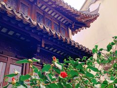 -豫园