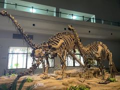 -自贡恐龙博物馆