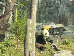-武汉动物园
